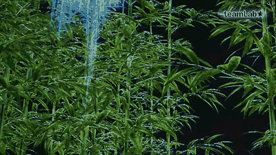 日本SAGYA餐廳 微信圖片_20200713145503